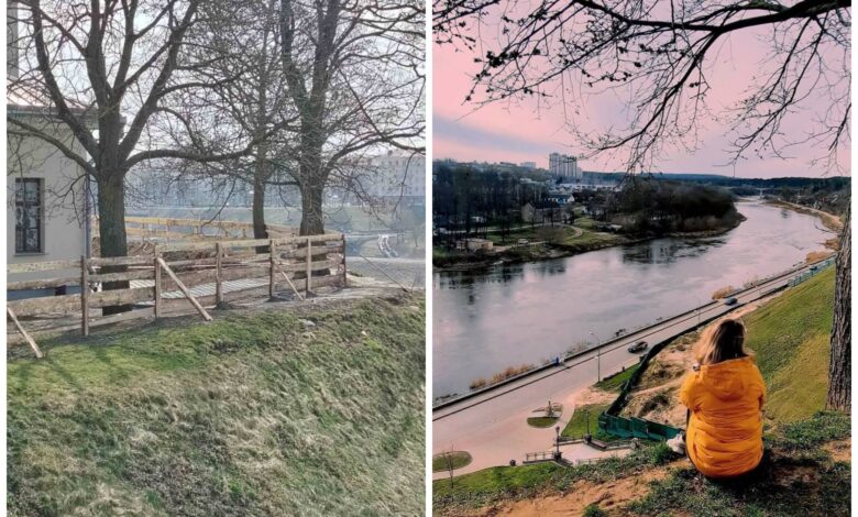 Популярное