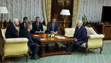 Увидеть белых медведей: Чукотка