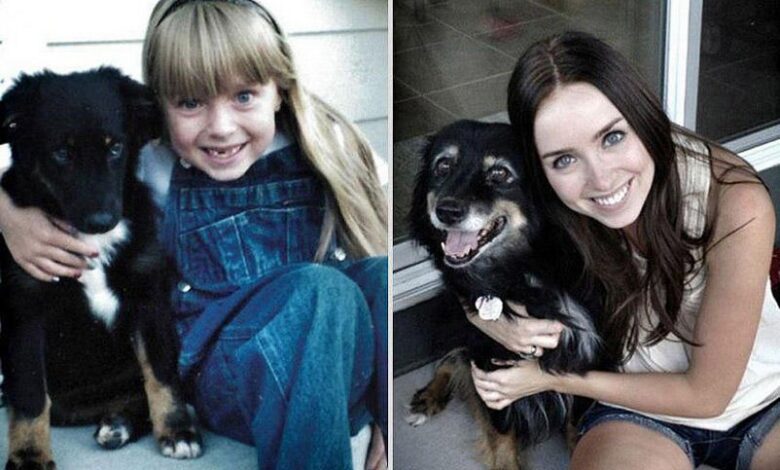 Наши любимые животные