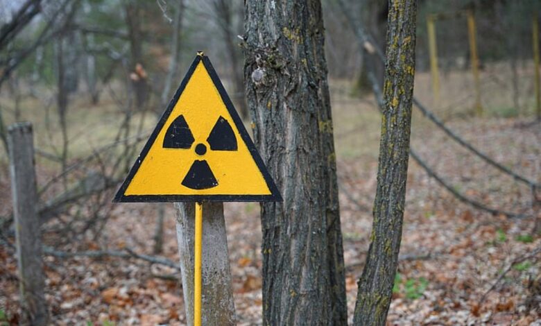 насколько сократилась радиоактивная зона