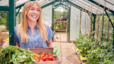 Теплицы и культиваторы: что покупают