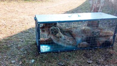 В Новогрудском районе