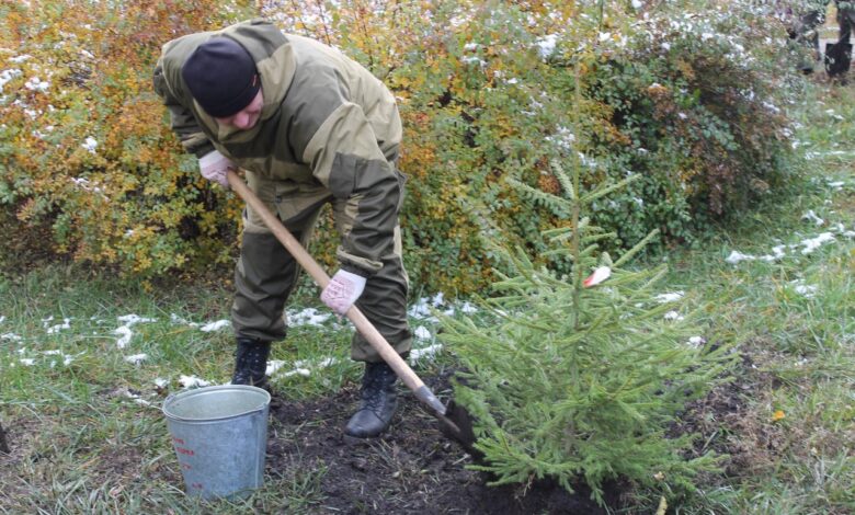 Субботник-2026