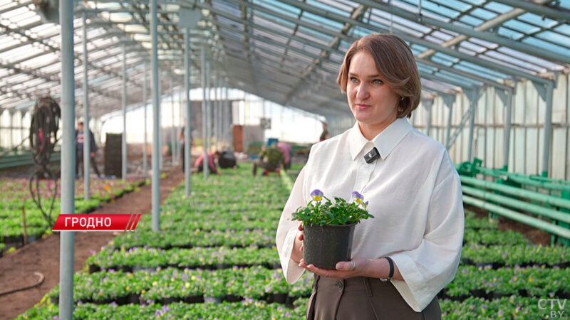 Город счастливых людей: Гродно