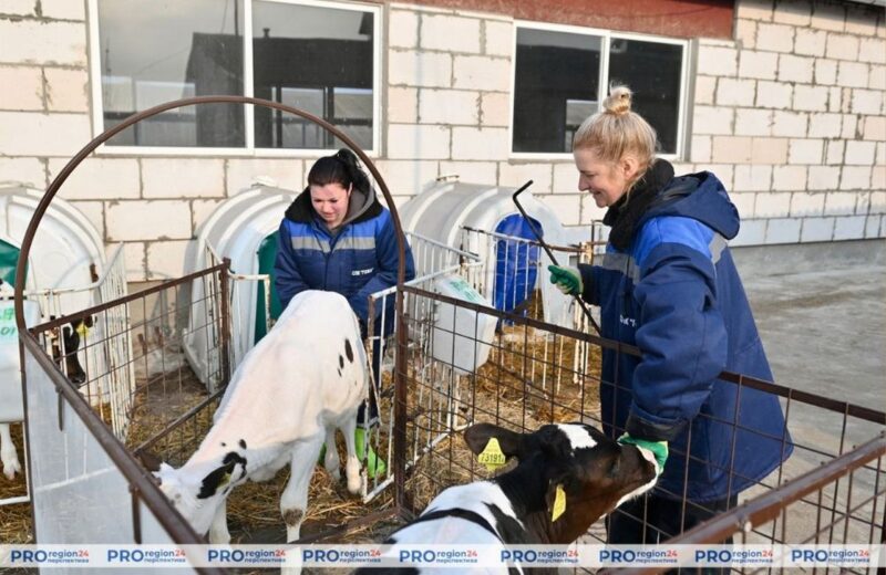 В СПК «Гожа» придумали бокс-тележку