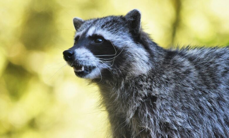 На кого в Беларуси