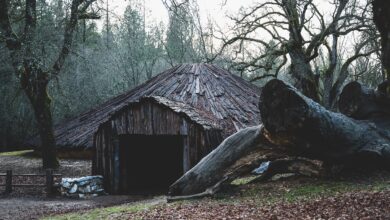 белорус прятался