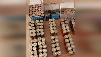 белоруска нашла 135 патронов