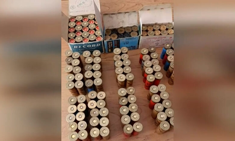 белоруска нашла 135 патронов