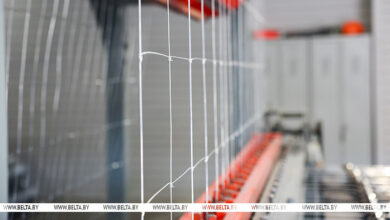 как в Беларуси борются