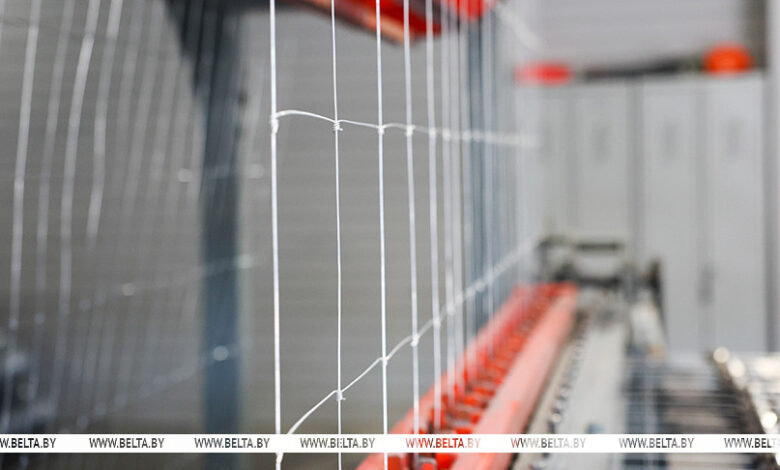 как в Беларуси борются