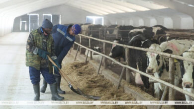 кто помогает развивать АПК