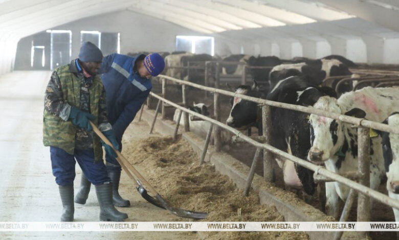 кто помогает развивать АПК