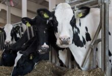 житель Волковысского района пожаловался