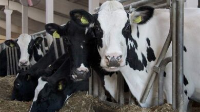 житель Волковысского района пожаловался