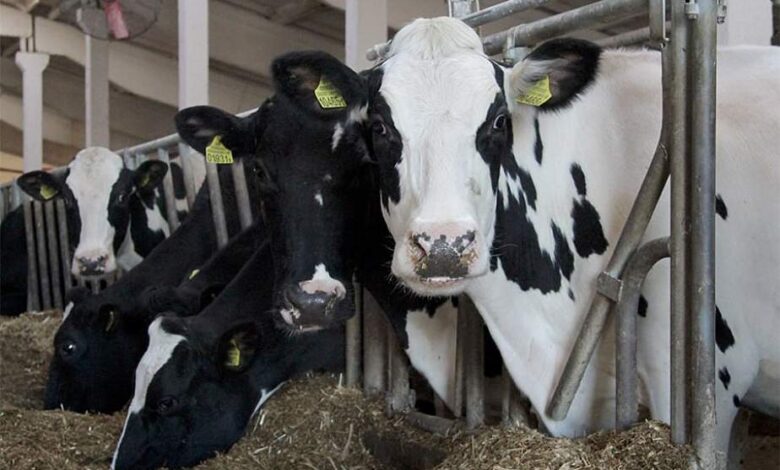 житель Волковысского района пожаловался