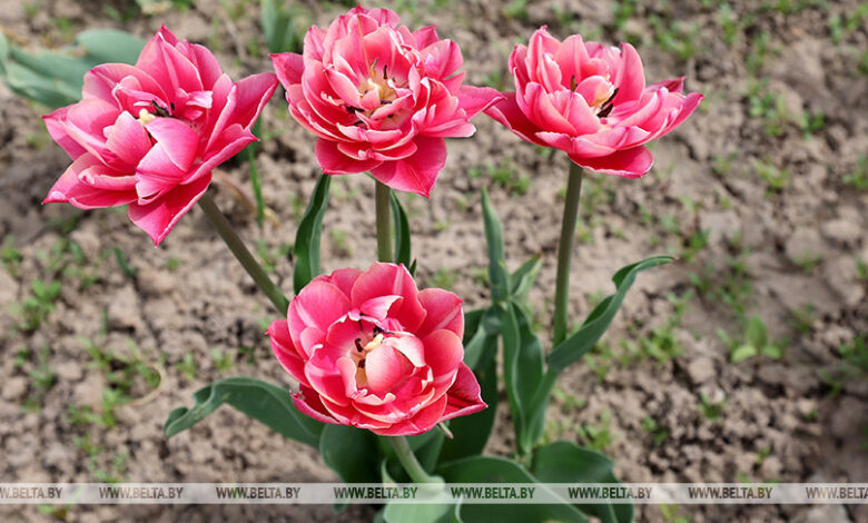 коммунальщики призывают отказаться