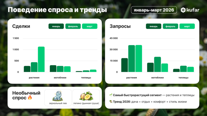Что смотрят и покупают дачники