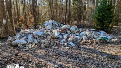 Гродненец возмутился свалкой в лесу