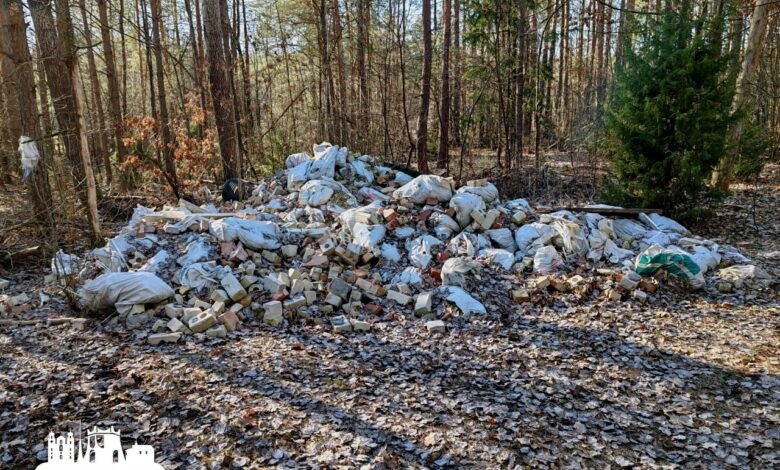 Гродненец возмутился свалкой в лесу