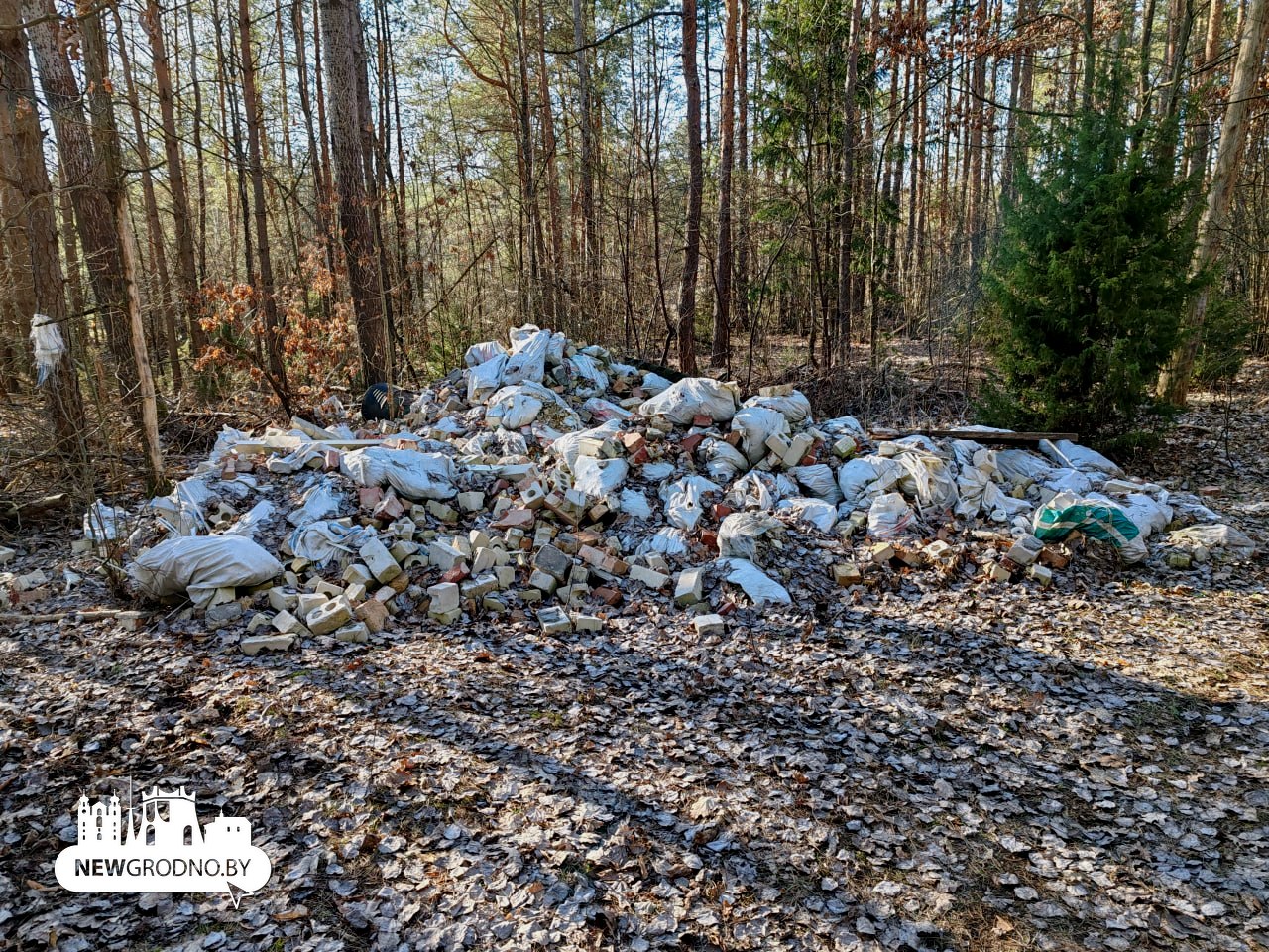 Гродненец возмутился свалкой в лесу