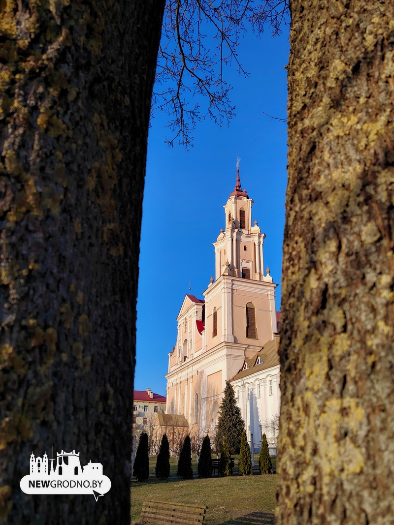 Нашли в Гродно еще одну локацию с магнолиями
