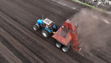 Власти обещали