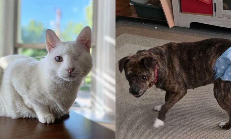 22 трогательных кадра