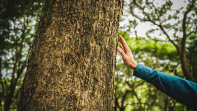 Как белорусы спасли больше