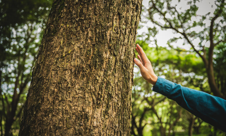 Как белорусы спасли больше