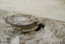 56 фактов нарушений в водоотведении