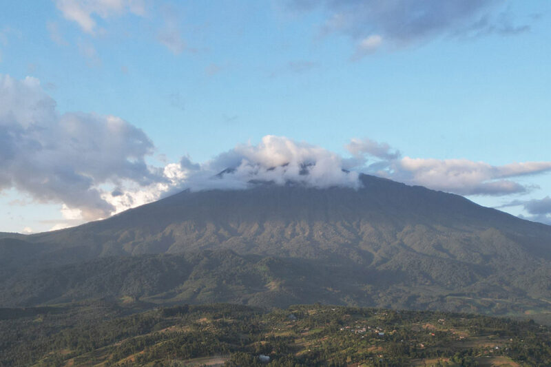 Африка Пакистан и талибы: история