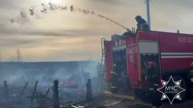 Пять домов и шесть сараев