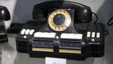 в Гродно работает выставка