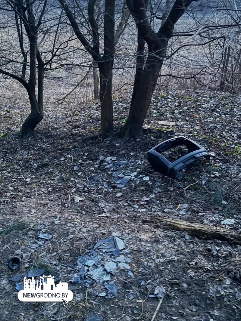 Гродненка собрала гору мусора