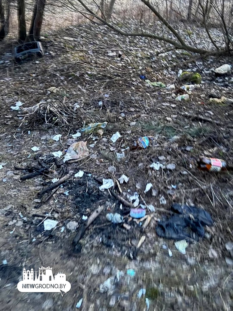Гродненка собрала гору мусора