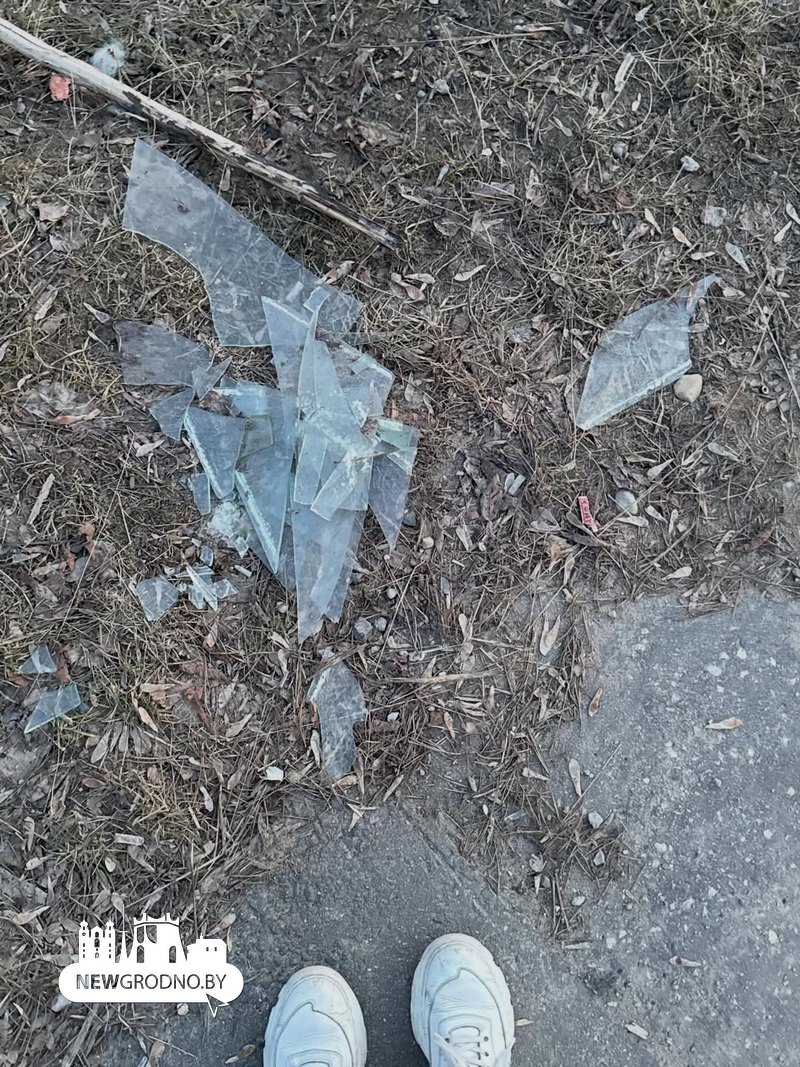 Гродненка собрала гору мусора