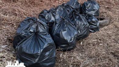 Гродненка собрала гору мусора