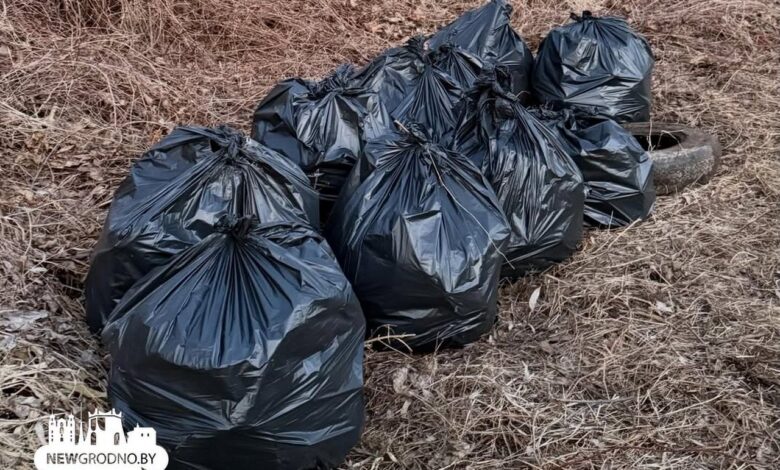 Гродненка собрала гору мусора