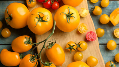 В Беларуси появятся шоколадные