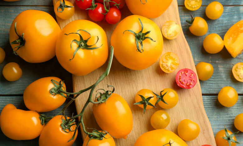 В Беларуси появятся шоколадные