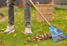 Кто в Беларуси