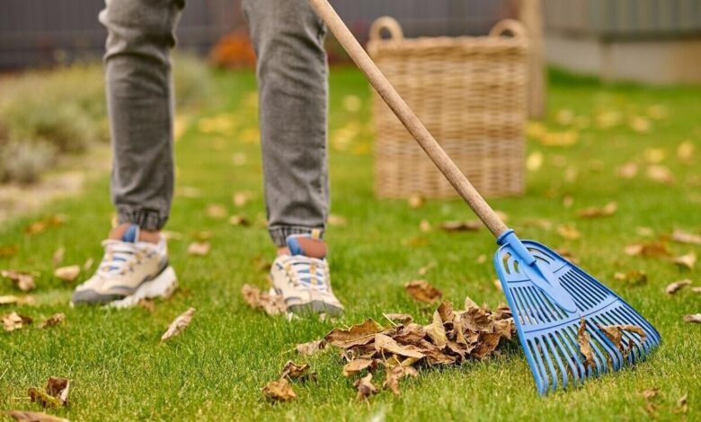 Кто в Беларуси