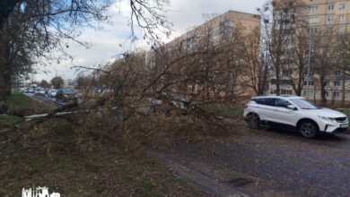 как Гродненщина пережила штормовой