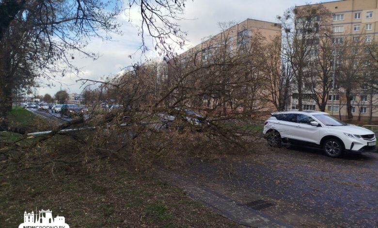 как Гродненщина пережила штормовой