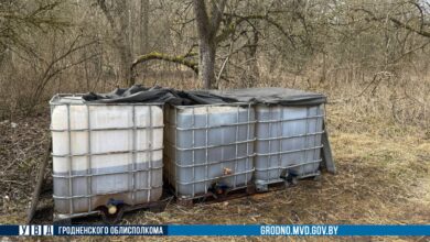 Под Ивье сорвана дерзкая