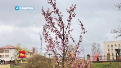 В парке Жилибера