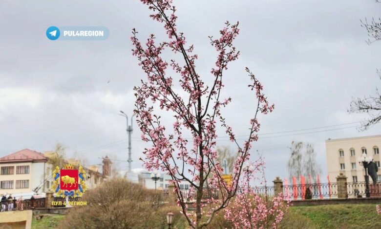 В парке Жилибера