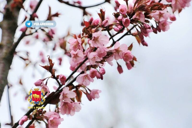 В парке Жилибера