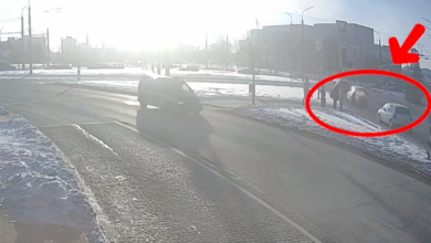 в Гродно 80-летний